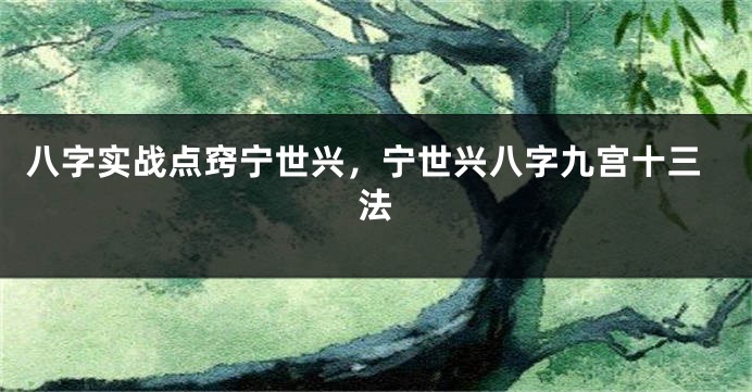 八字实战点窍宁世兴，宁世兴八字九宫十三法