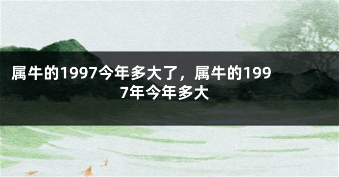 属牛的1997今年多大了，属牛的1997年今年多大
