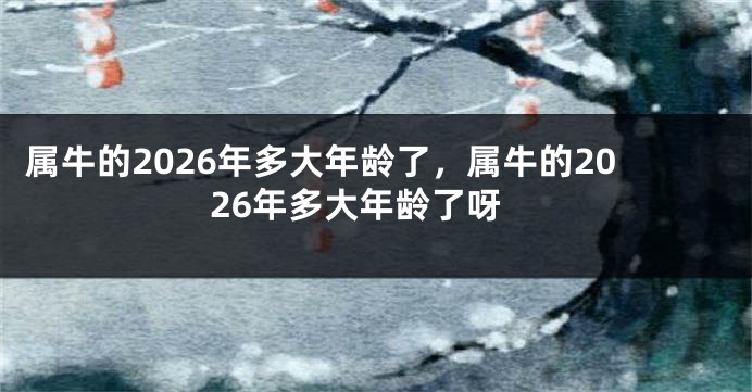 属牛的2026年多大年龄了，属牛的2026年多大年龄了呀