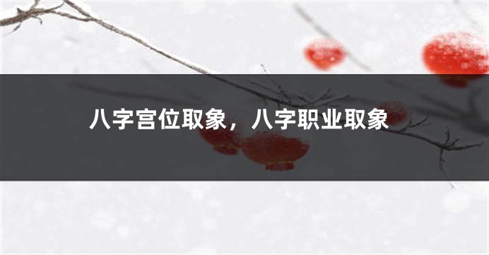 八字宫位取象，八字职业取象