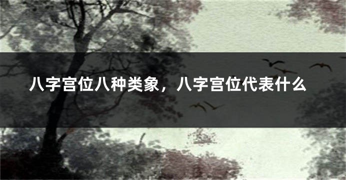 八字宫位八种类象，八字宫位代表什么