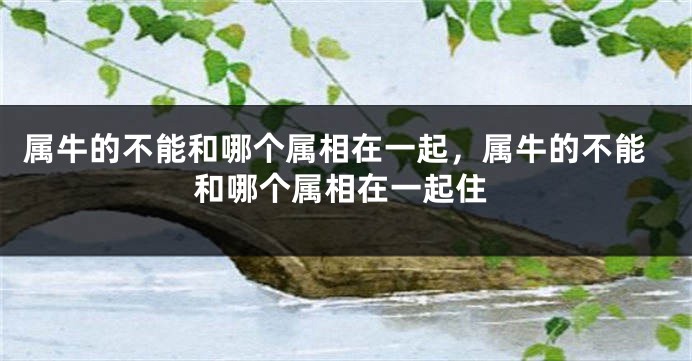 属牛的不能和哪个属相在一起，属牛的不能和哪个属相在一起住