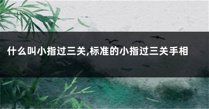 什么叫小指过三关,标准的小指过三关手相