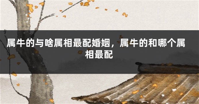 属牛的与啥属相最配婚姻，属牛的和哪个属相最配