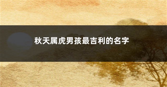 秋天属虎男孩最吉利的名字