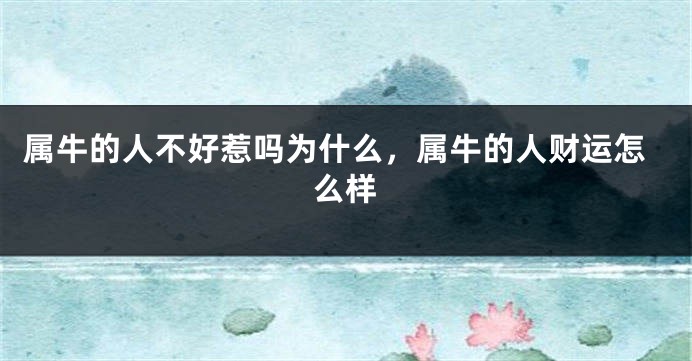 属牛的人不好惹吗为什么，属牛的人财运怎么样