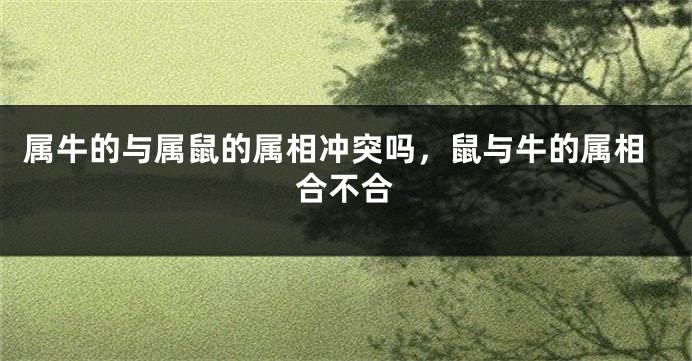 属牛的与属鼠的属相冲突吗，鼠与牛的属相合不合