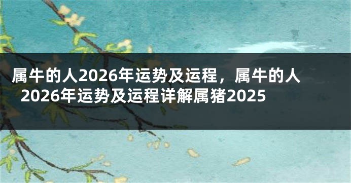 属牛的人2026年运势及运程，属牛的人2026年运势及运程详解属猪2025