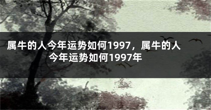 属牛的人今年运势如何1997，属牛的人今年运势如何1997年