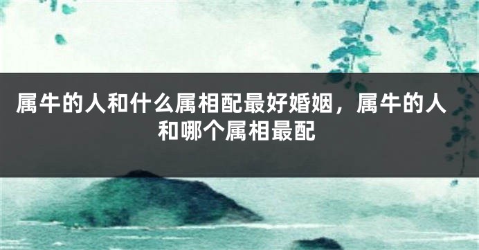 属牛的人和什么属相配最好婚姻，属牛的人和哪个属相最配
