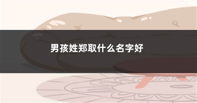 男孩姓郑取什么名字好
