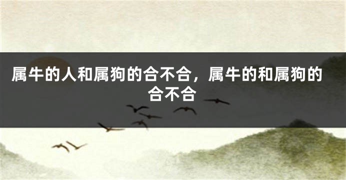属牛的人和属狗的合不合，属牛的和属狗的合不合