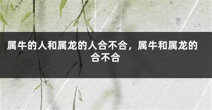 属牛的人和属龙的人合不合，属牛和属龙的合不合