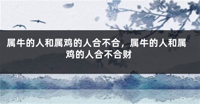 属牛的人和属鸡的人合不合，属牛的人和属鸡的人合不合财