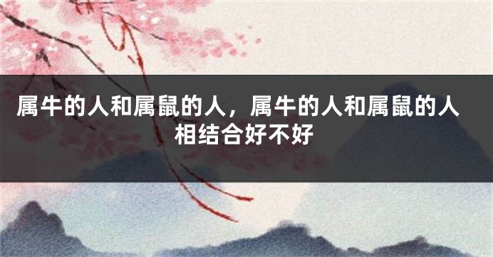 属牛的人和属鼠的人，属牛的人和属鼠的人相结合好不好