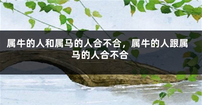 属牛的人和属马的人合不合，属牛的人跟属马的人合不合