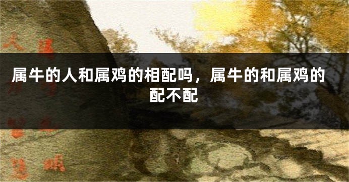 属牛的人和属鸡的相配吗，属牛的和属鸡的配不配