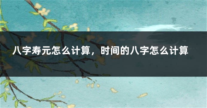 八字寿元怎么计算，时间的八字怎么计算