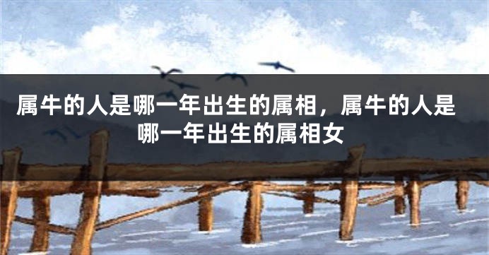 属牛的人是哪一年出生的属相，属牛的人是哪一年出生的属相女