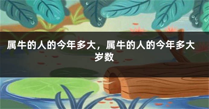 属牛的人的今年多大，属牛的人的今年多大岁数