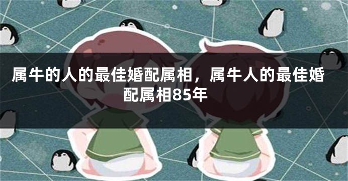 属牛的人的最佳婚配属相,属牛人的最佳婚配属相85年