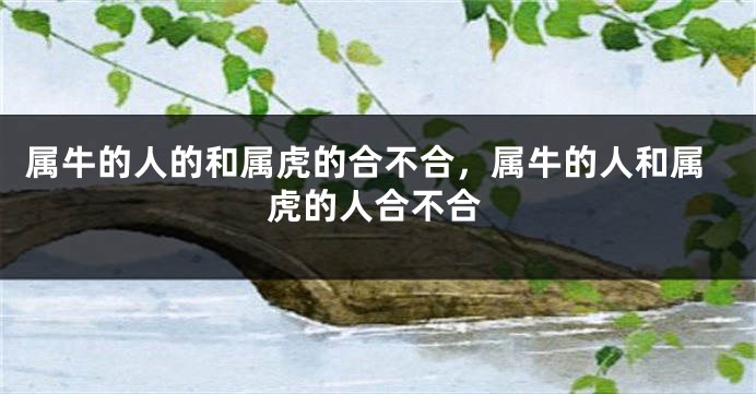 属牛的人的和属虎的合不合，属牛的人和属虎的人合不合