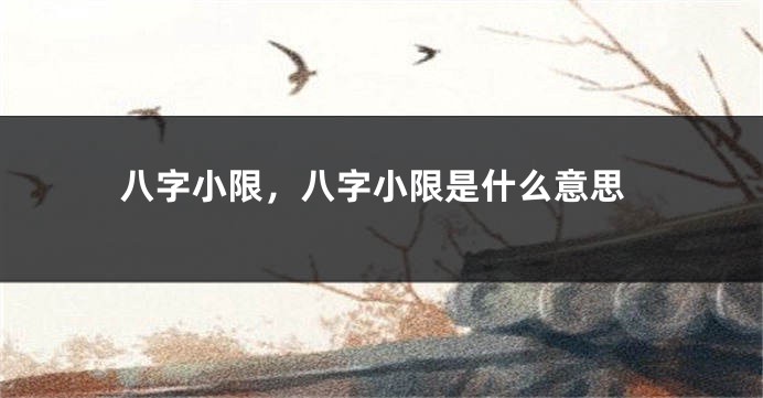 八字小限，八字小限是什么意思