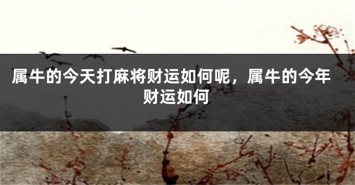 属牛的今天打麻将财运如何呢，属牛的今年财运如何