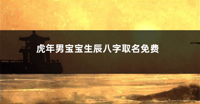 虎年男宝宝生辰八字取名免费