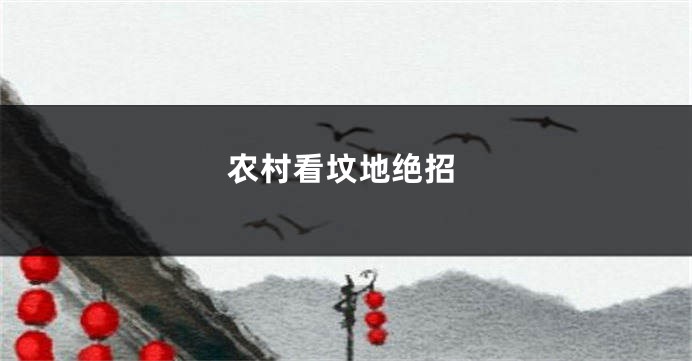 农村看坟地绝招