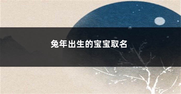 兔年出生的宝宝取名