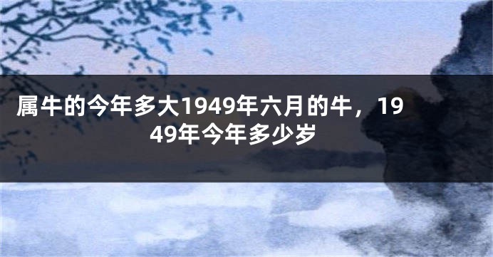 属牛的今年多大1949年六月的牛，1949年今年多少岁