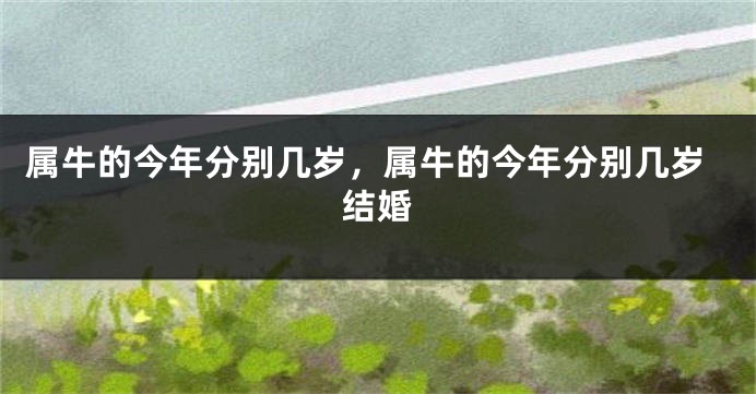 属牛的今年分别几岁，属牛的今年分别几岁结婚