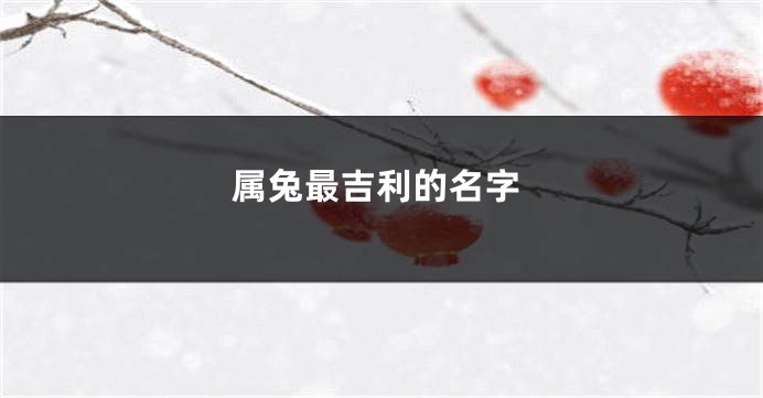 属兔最吉利的名字