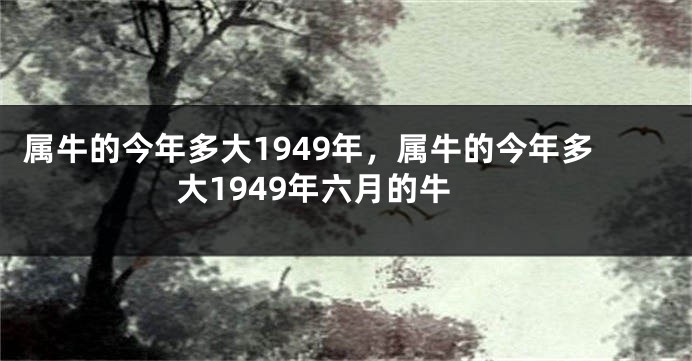 属牛的今年多大1949年，属牛的今年多大1949年六月的牛