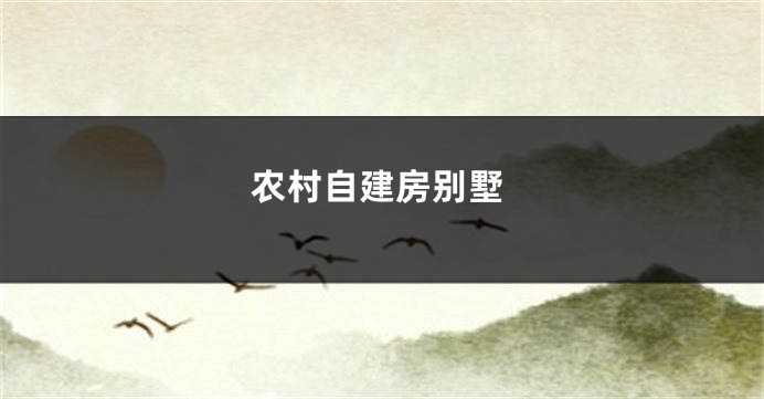 农村自建房别墅