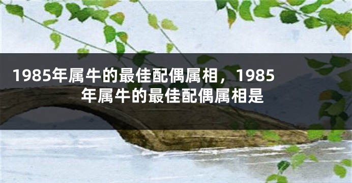 1985年属牛的最佳配偶属相，1985年属牛的最佳配偶属相是