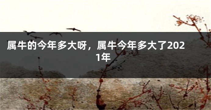 属牛的今年多大呀，属牛今年多大了2021年
