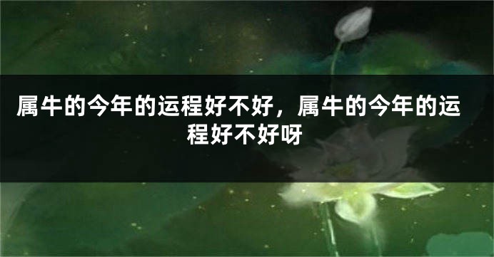 属牛的今年的运程好不好，属牛的今年的运程好不好呀