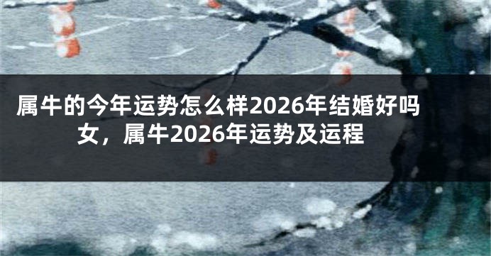 属牛的今年运势怎么样2026年结婚好吗女，属牛2026年运势及运程