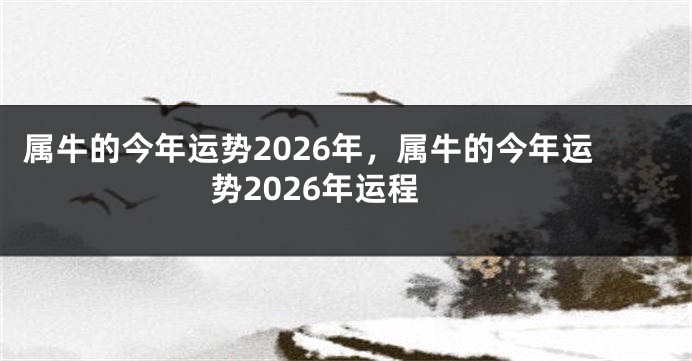 属牛的今年运势2026年，属牛的今年运势2026年运程