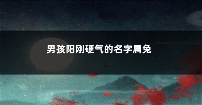 男孩阳刚硬气的名字属兔