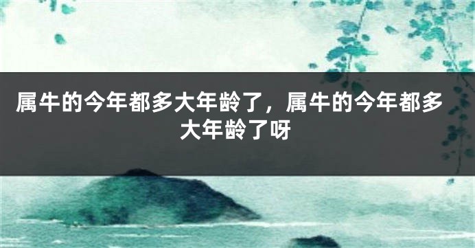 属牛的今年都多大年龄了，属牛的今年都多大年龄了呀