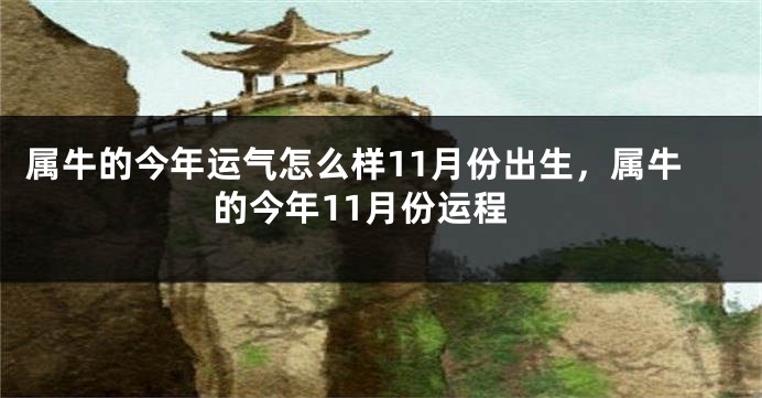 属牛的今年运气怎么样11月份出生，属牛的今年11月份运程