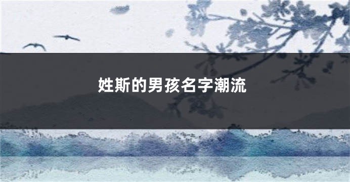 姓斯的男孩名字潮流