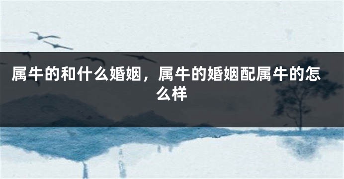 属牛的和什么婚姻，属牛的婚姻配属牛的怎么样