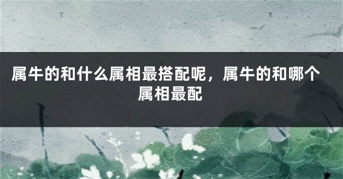 属牛的和什么属相最搭配呢，属牛的和哪个属相最配