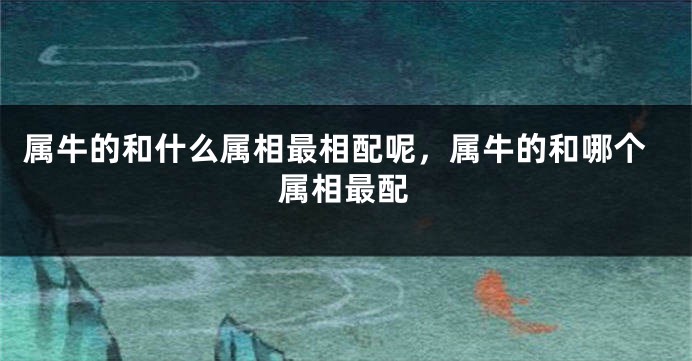 属牛的和什么属相最相配呢，属牛的和哪个属相最配