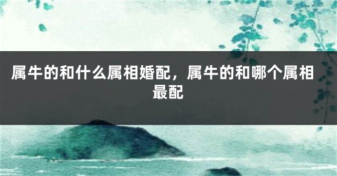 属牛的和什么属相婚配，属牛的和哪个属相最配