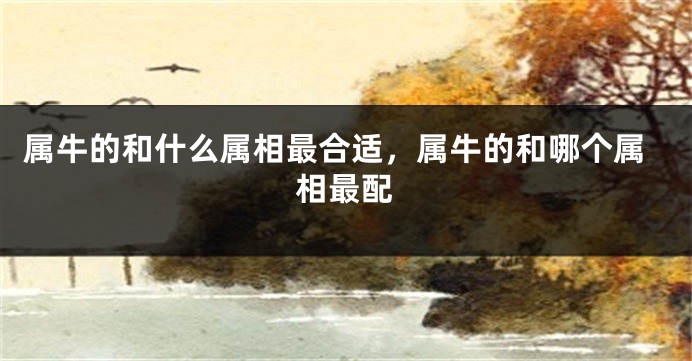 属牛的和什么属相最合适，属牛的和哪个属相最配